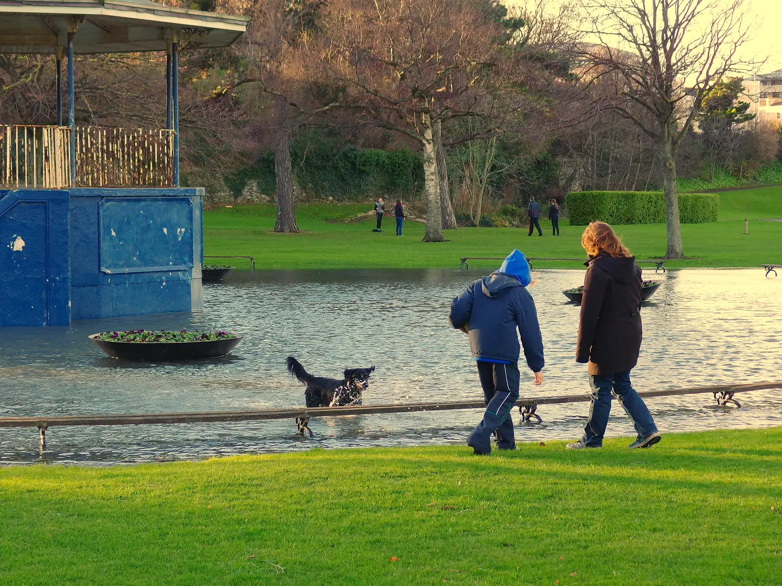 A dog has a swim, from A Trip to Monkstown Farm and Blackrock, County Dublin, Ireland - 2nd January 2014