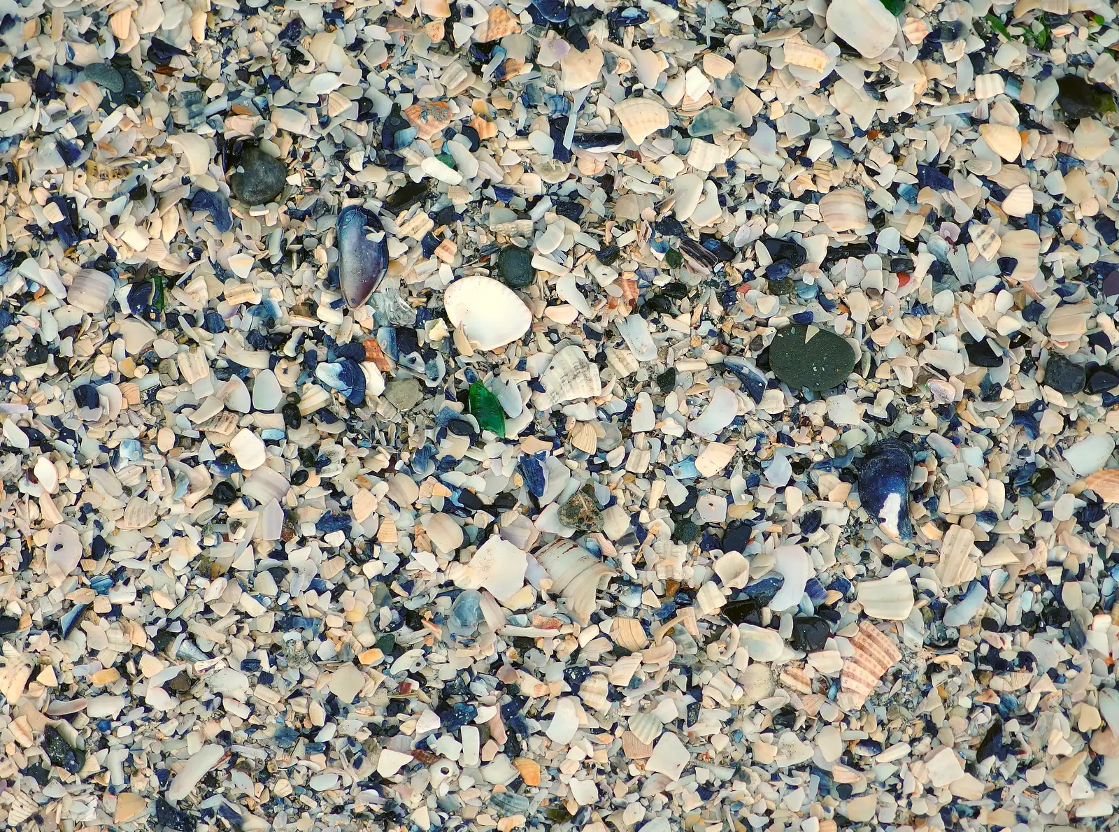 A million crushed sea shells, from A Trip to Monkstown Farm and Blackrock, County Dublin, Ireland - 2nd January 2014