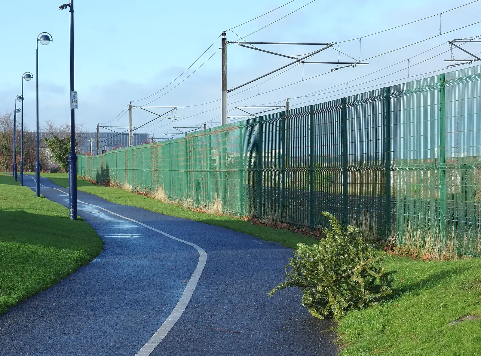 A Christmas tree has escaped from somewhere, from Dun Laoghaire and an Electrical Disaster, Monkstown, County Dublin, Ireland - 4th January 2014