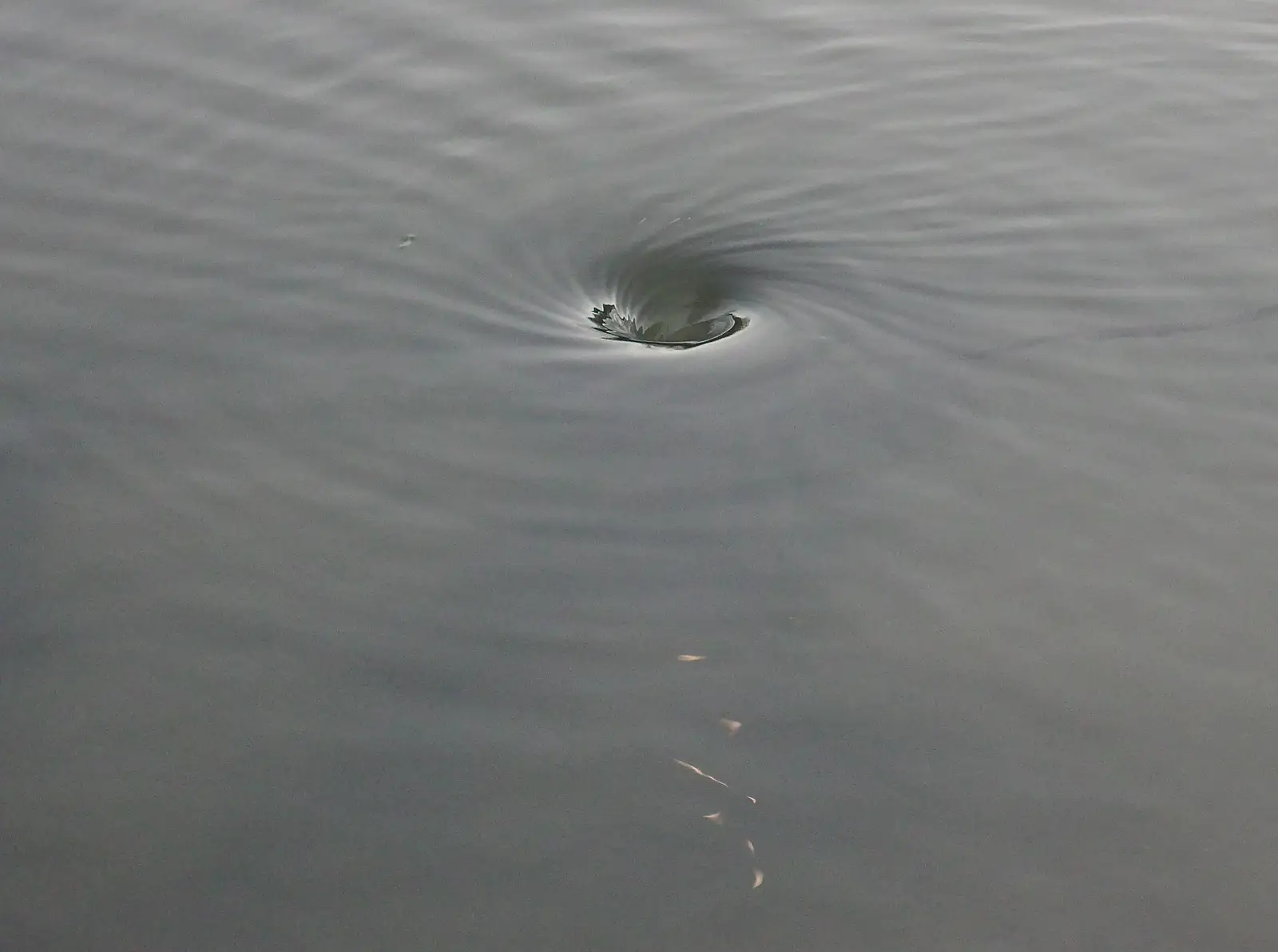 There's a small whirlpool in the pond, from Dun Laoghaire and an Electrical Disaster, Monkstown, County Dublin, Ireland - 4th January 2014