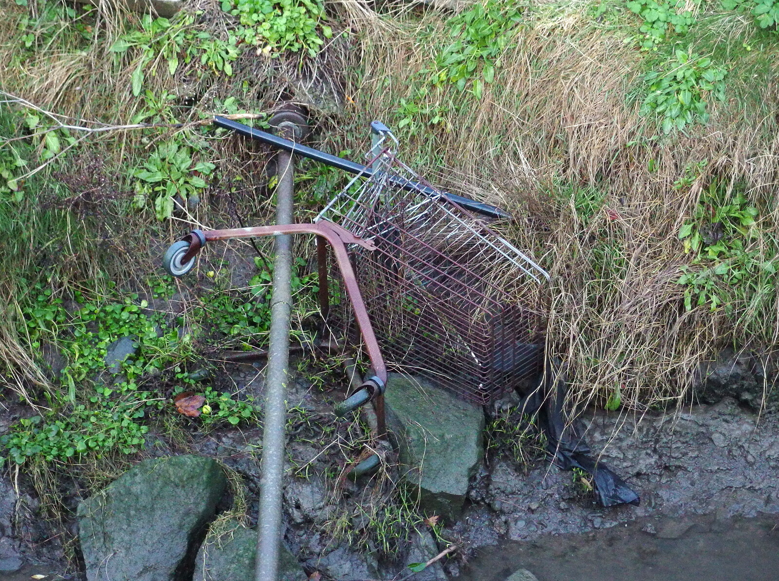 A discarded shopping trolley from Dun Laoghaire and an Electrical Disaster, Monkstown, County Dublin, Ireland - 4th January 2014