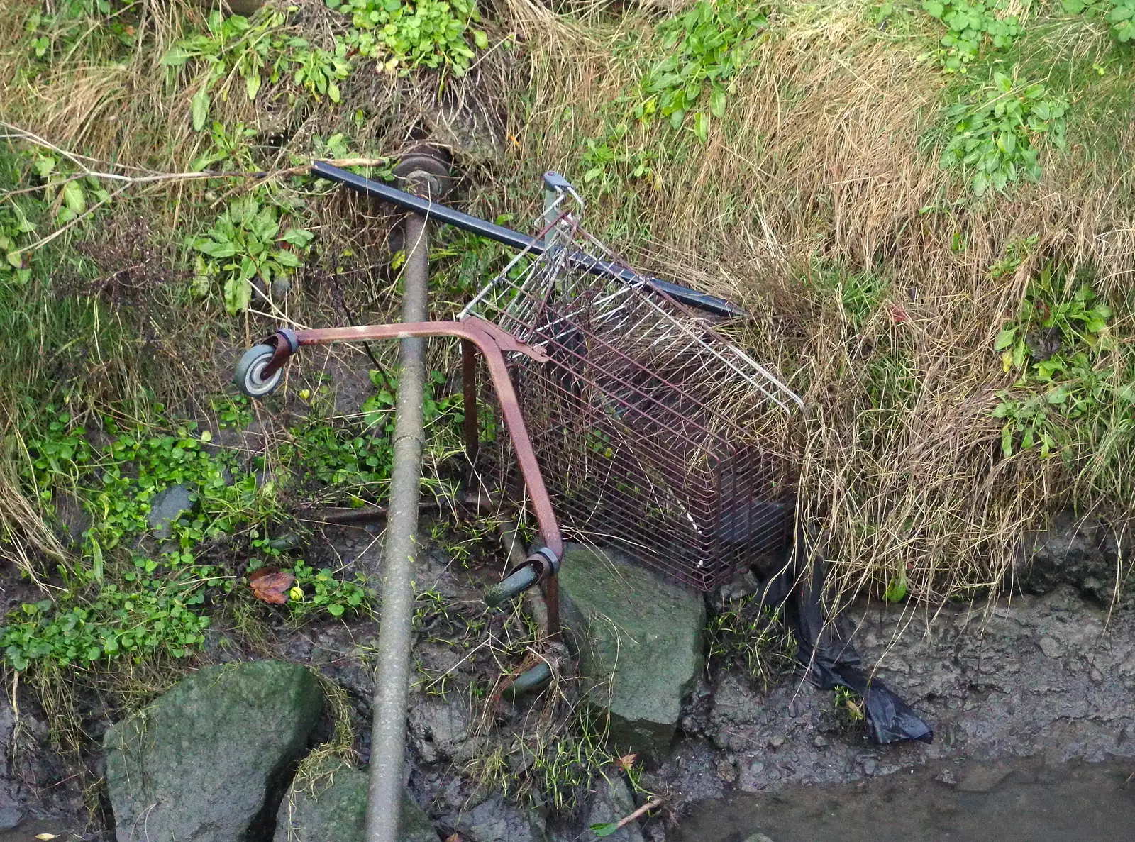 A discarded shopping trolley, from Dun Laoghaire and an Electrical Disaster, Monkstown, County Dublin, Ireland - 4th January 2014