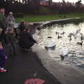 Feeding the swans a ducks, Dun Laoghaire and an Electrical Disaster, Monkstown, County Dublin, Ireland - 4th January 2014