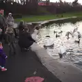 Feeding the swans a ducks, Dun Laoghaire and an Electrical Disaster, Monkstown, County Dublin, Ireland - 4th January 2014