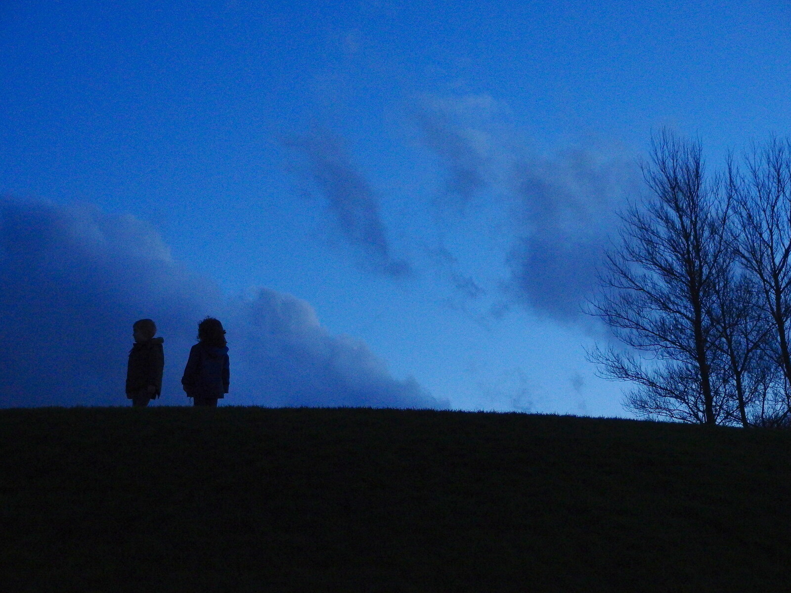 Fern and Fred silhouetted against the dusk from Dun Laoghaire and an Electrical Disaster, Monkstown, County Dublin, Ireland - 4th January 2014