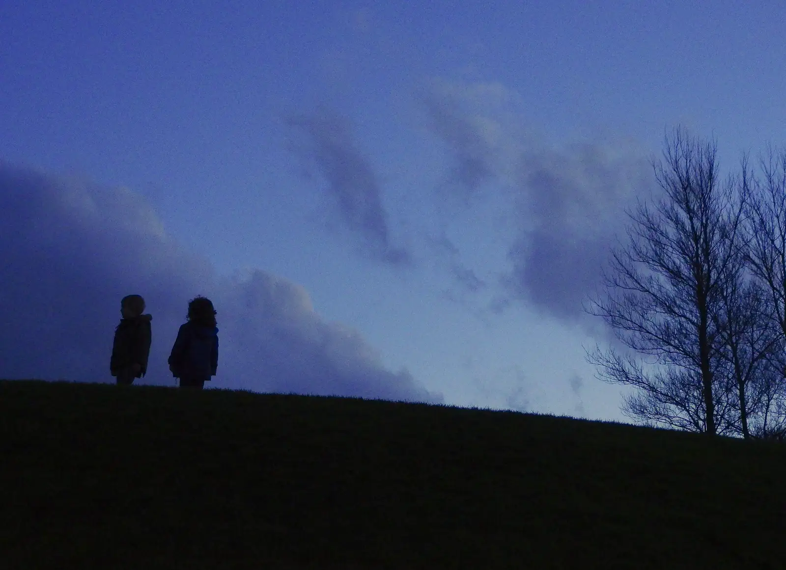 Fern and Fred silhouetted against the dusk, from Dun Laoghaire and an Electrical Disaster, Monkstown, County Dublin, Ireland - 4th January 2014