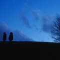 Fern and Fred silhouetted against the dusk, Dun Laoghaire and an Electrical Disaster, Monkstown, County Dublin, Ireland - 4th January 2014