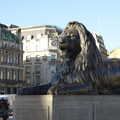 A Trafalgar lion, SwiftKey Innovation, The Hub, Westminster, London - 21st February 2014