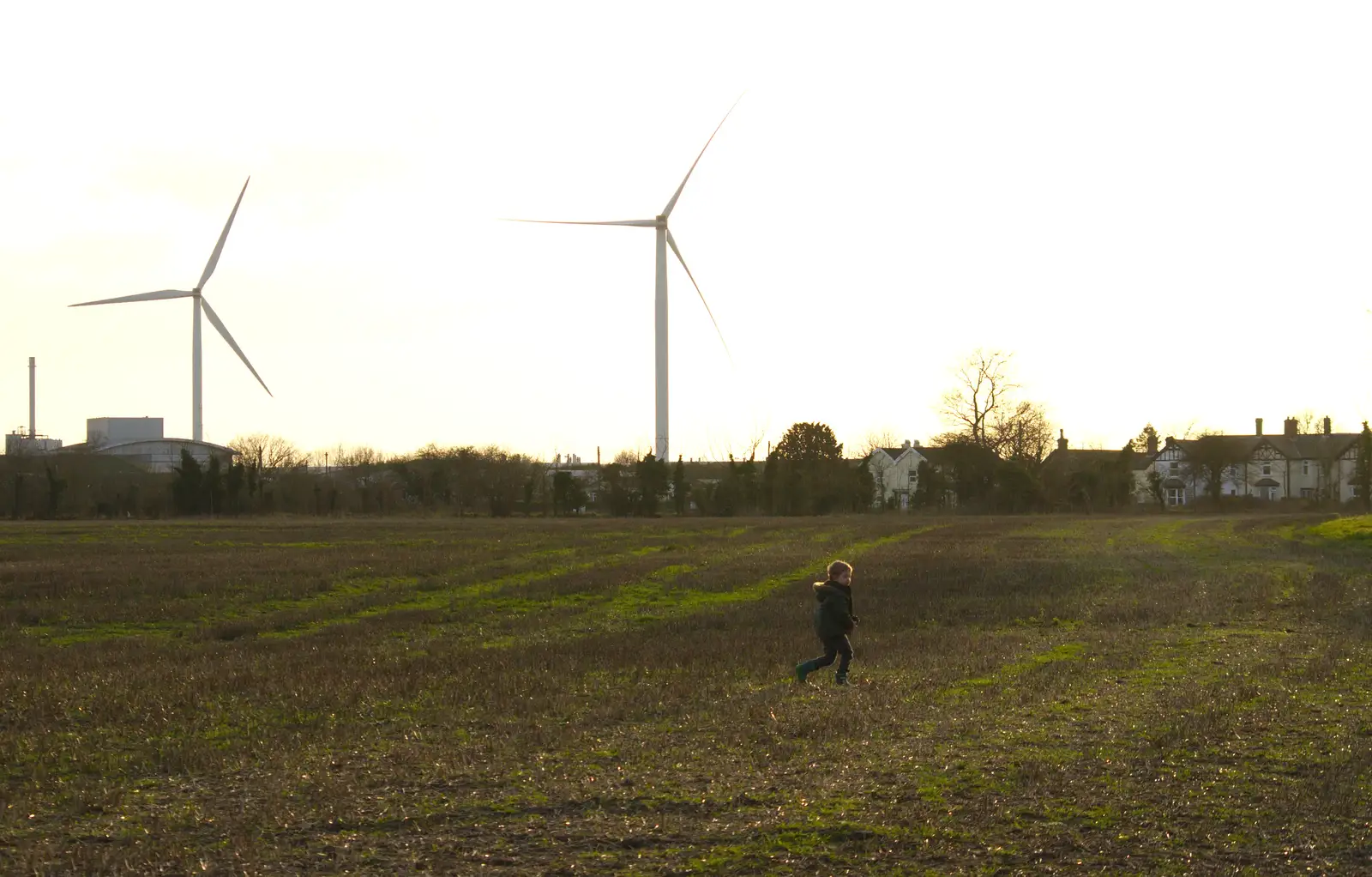 Fred wanders across the 100-acre field, from A Trip to see Chinner, Brome, Suffolk - 22nd April 2014