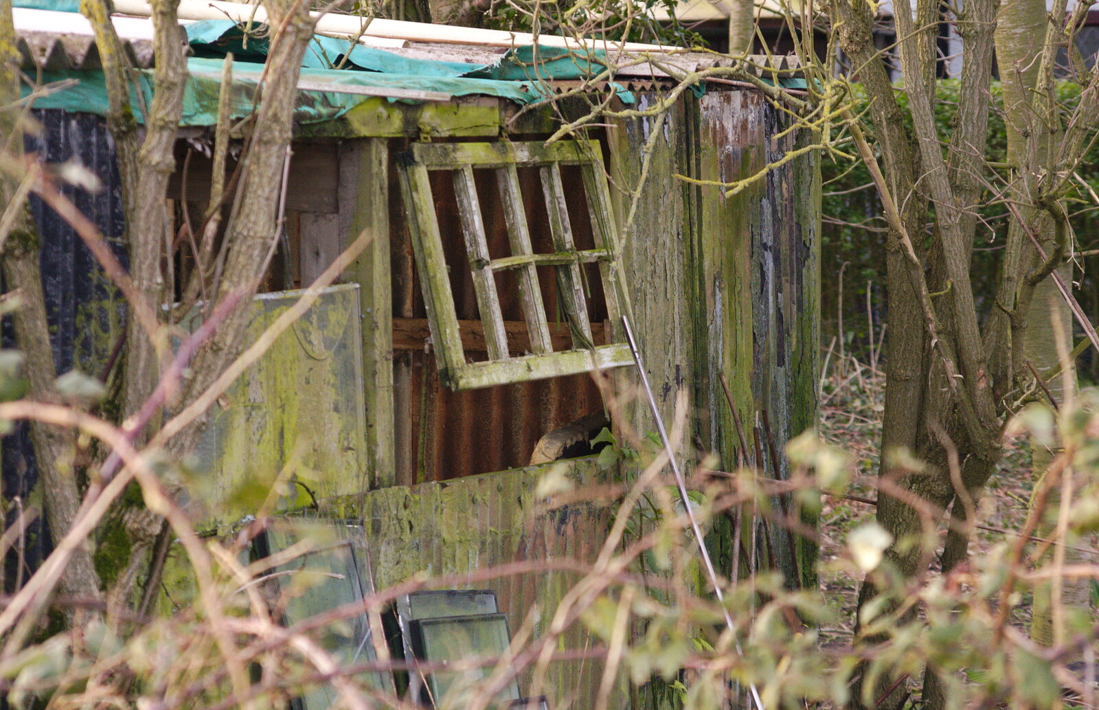 The back of Syd's old sheds from A Trip to see Chinner, Brome, Suffolk - 22nd April 2014