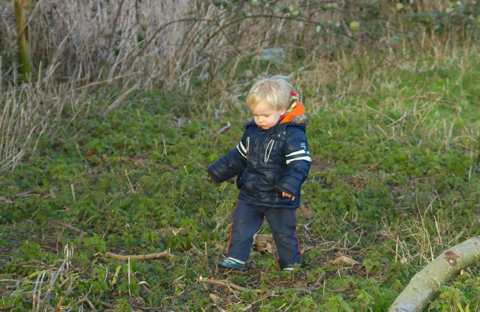 Harry stumps about, from A Trip to see Chinner, Brome, Suffolk - 22nd April 2014