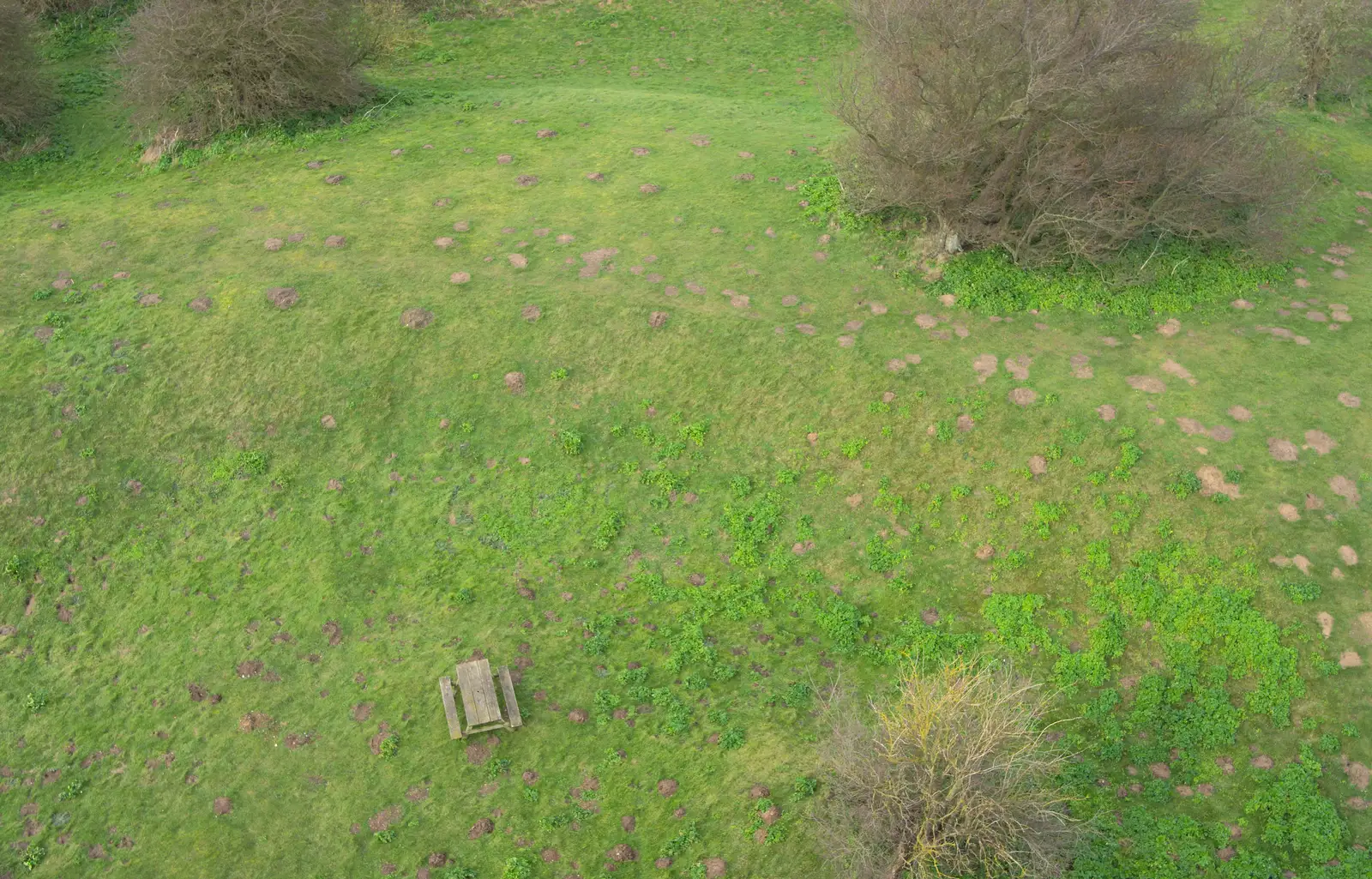 The Motte looks like it's been carpet-bombed, from A Trip to Orford Castle, Orford, Suffolk - 2nd March 2014