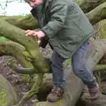 Climbing in the climbey tree, A Trip to Orford Castle, Orford, Suffolk - 2nd March 2014