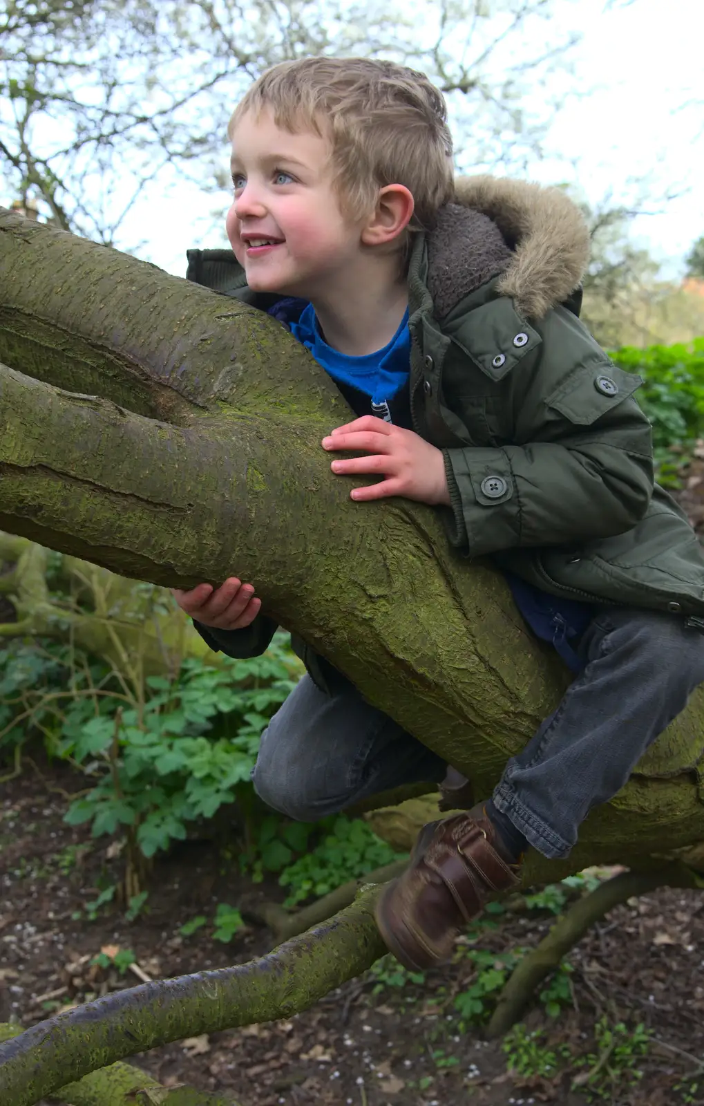 Fred up a tree, from A Trip to Orford Castle, Orford, Suffolk - 2nd March 2014