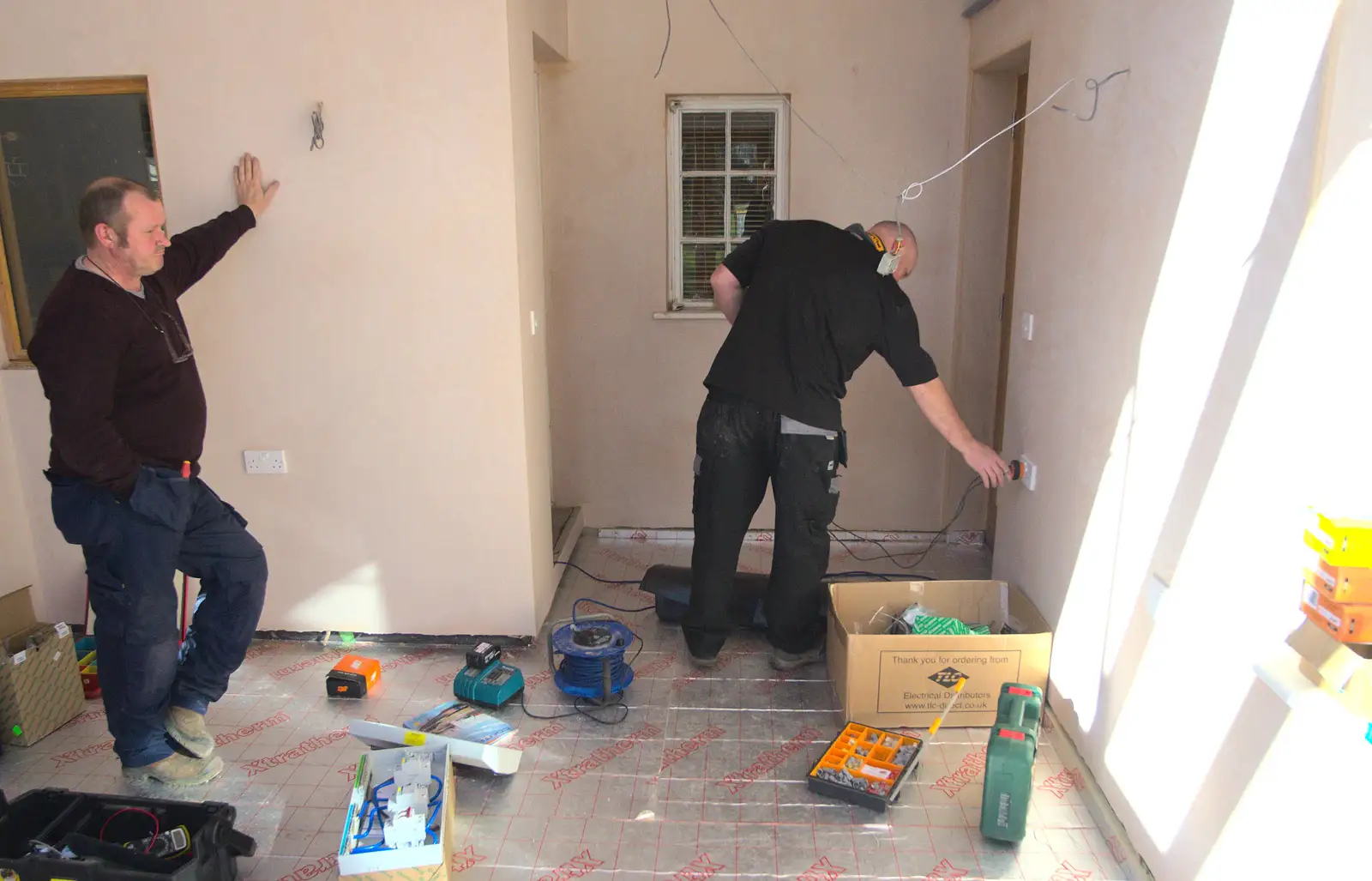 Boomer watches as Gov tests sockets, from Building Progress: Electrical Second Fixing, Brome, Suffolk - 4th March 2014