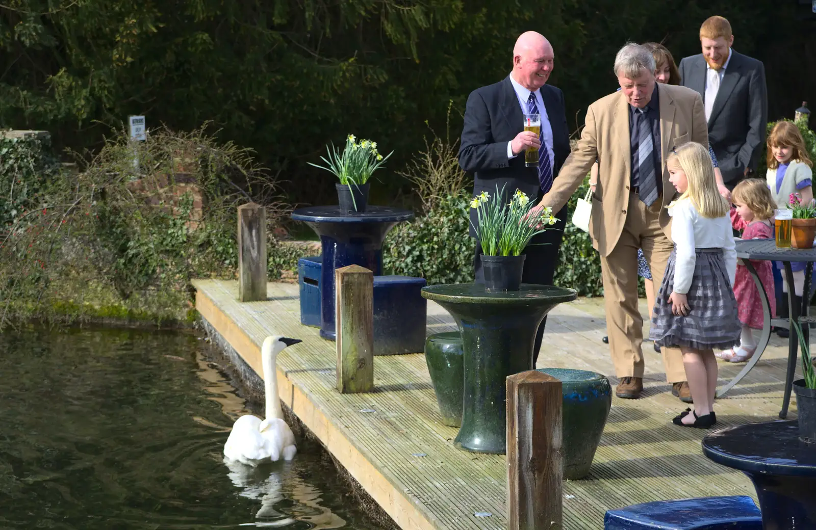 A swan watches the guests gather, from John and Caroline's Wedding, Sheene Mill, Melbourne, Cambridgeshire - 8th March 2014