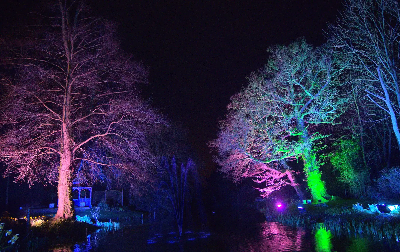 Multi-coloured trees, from John and Caroline's Wedding, Sheene Mill, Melbourne, Cambridgeshire - 8th March 2014