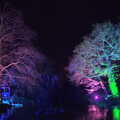 Multi-coloured trees, John and Caroline's Wedding, Sheene Mill, Melbourne, Cambridgeshire - 8th March 2014