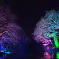 Multi-coloured trees, John and Caroline's Wedding, Sheene Mill, Melbourne, Cambridgeshire - 8th March 2014