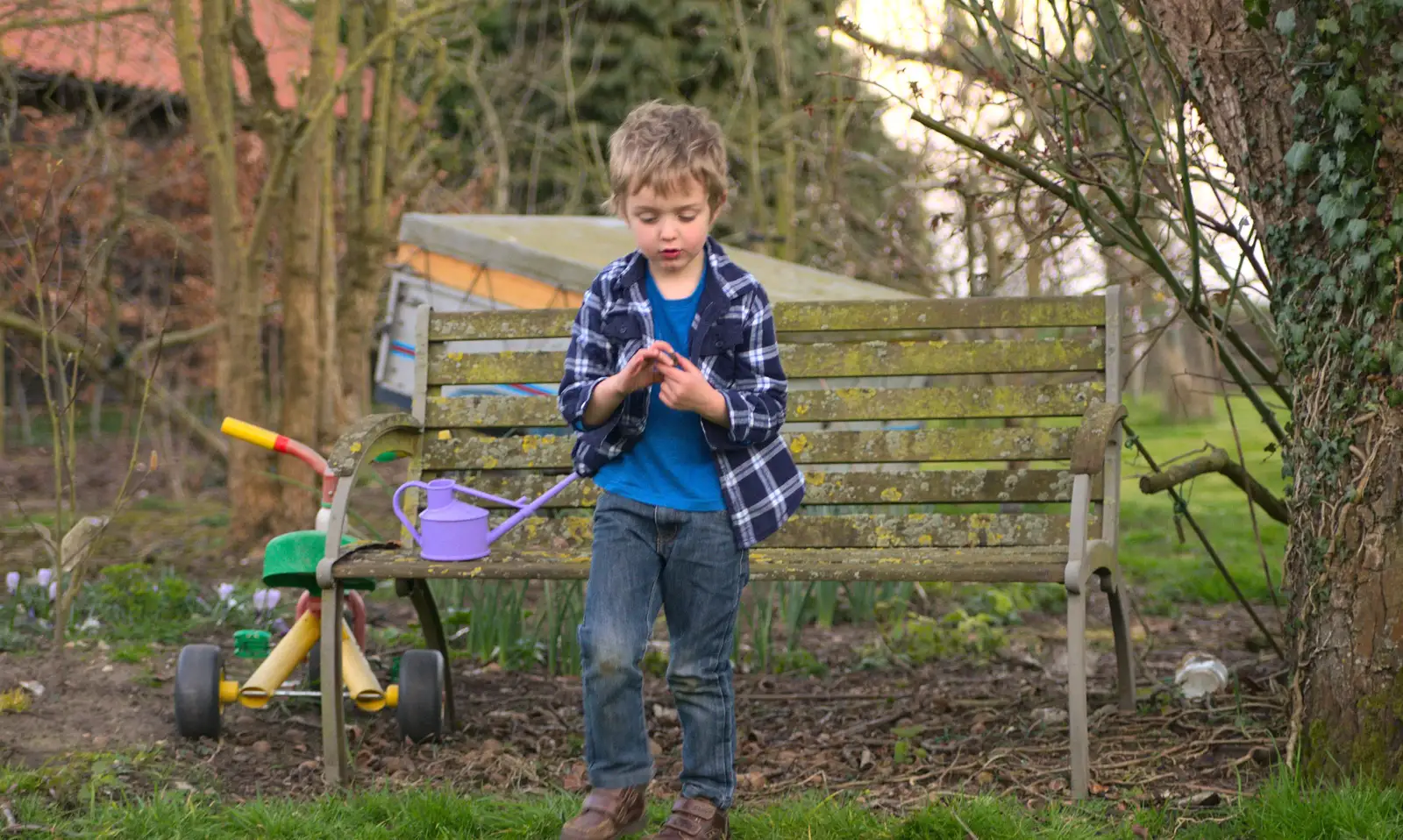 Fred pokes around with a walnut shell, from Emily Comes to Visit, Brome, Suffolk - 15th March 2014