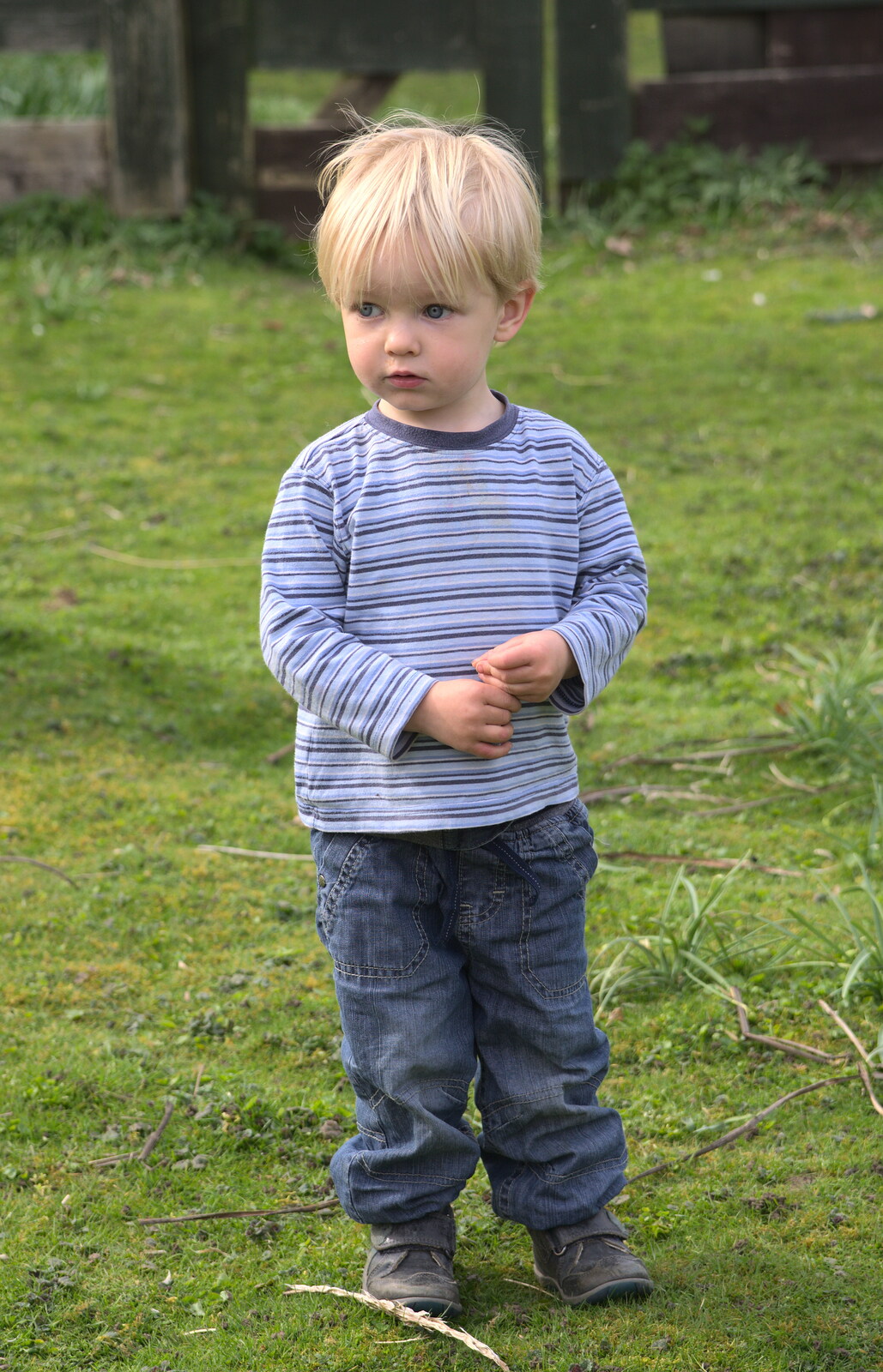 Harry roams about from On Being Two: Harry's Birthday, Brome, Suffolk - 28th March 2014