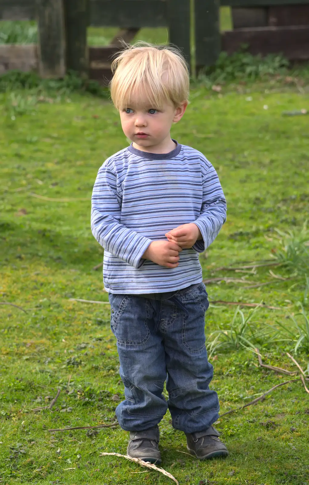 Harry roams about, from On Being Two: Harry's Birthday, Brome, Suffolk - 28th March 2014