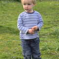 Harry roams about, On Being Two: Harry's Birthday, Brome, Suffolk - 28th March 2014