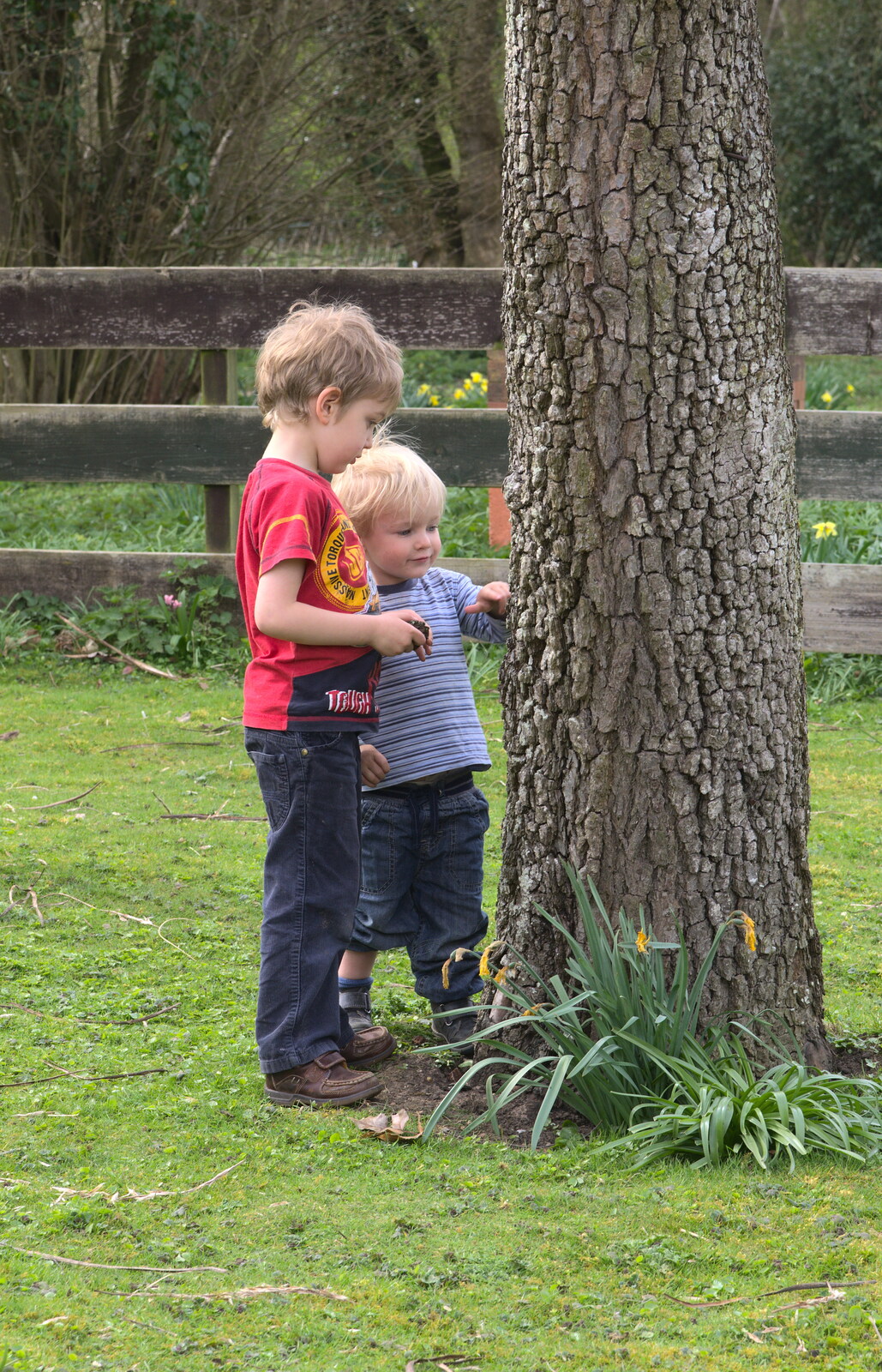 Fred and Harry poke the tree from On Being Two: Harry's Birthday, Brome, Suffolk - 28th March 2014