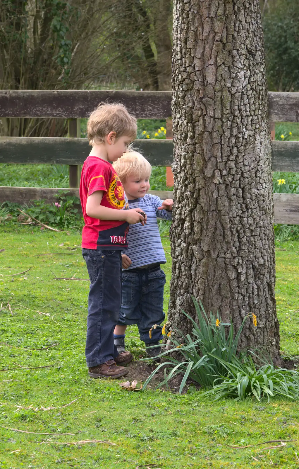 Fred and Harry poke the tree, from On Being Two: Harry's Birthday, Brome, Suffolk - 28th March 2014