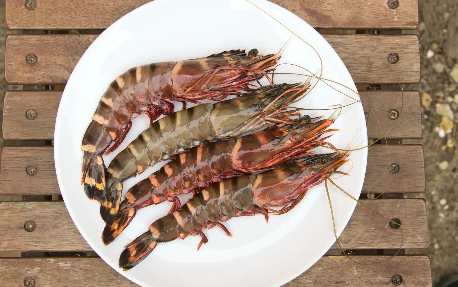 Isobel scored some huge prawns, from On Being Two: Harry's Birthday, Brome, Suffolk - 28th March 2014