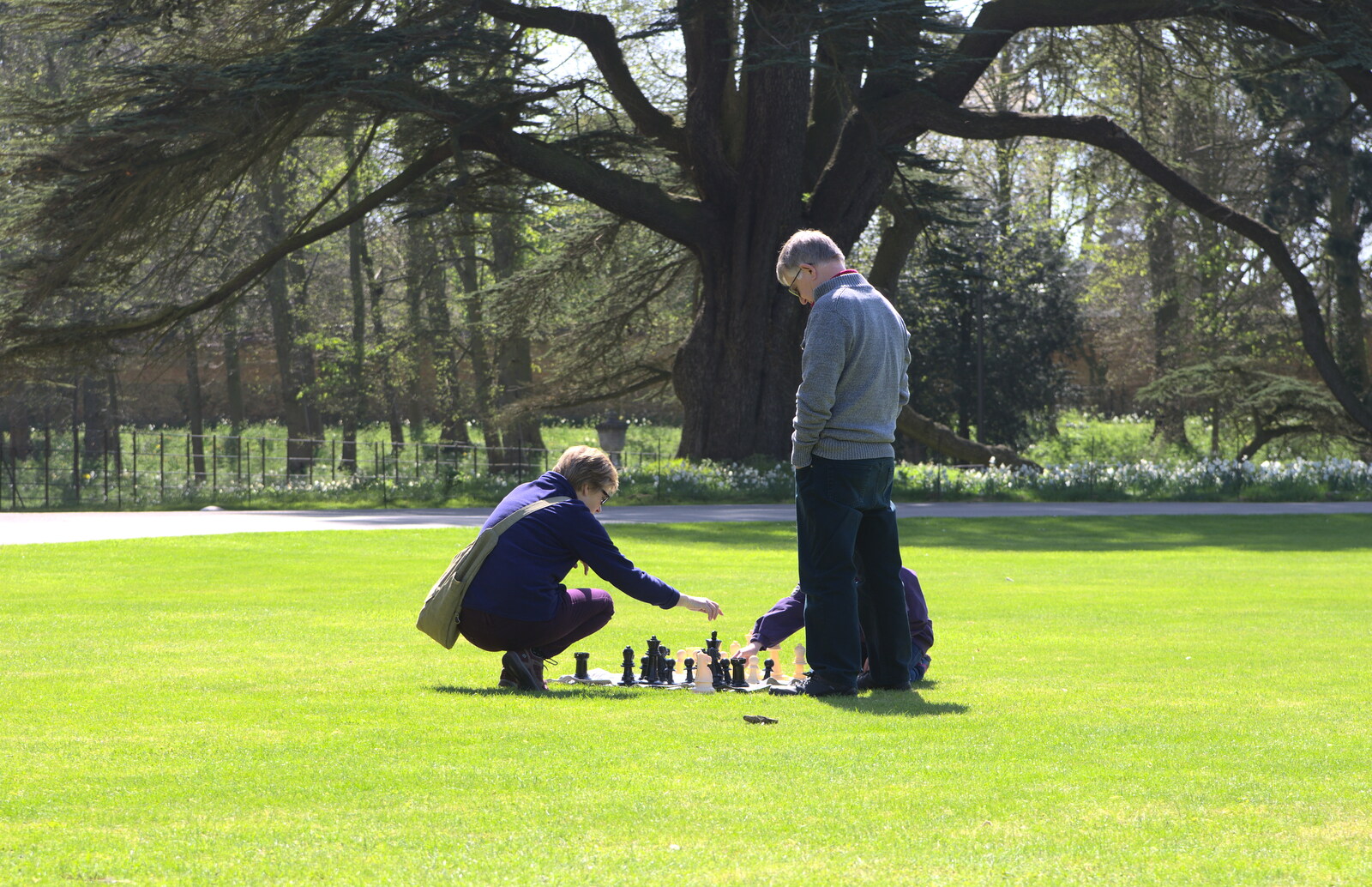 Chess on the lawn from A Trip to Audley End House, Saffron Walden, Essex - 16th April 2014