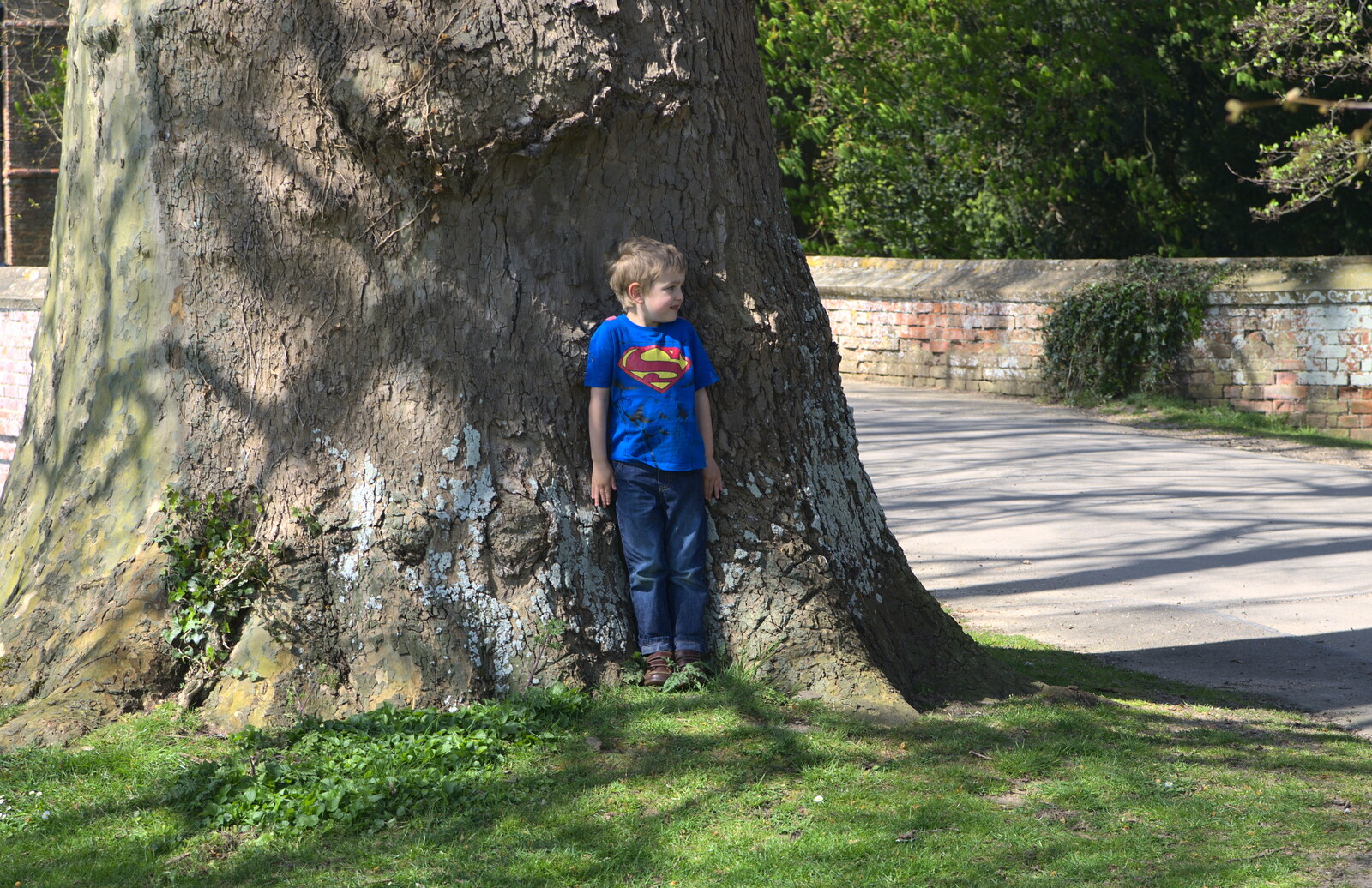 Fred hides in a tree from A Trip to Audley End House, Saffron Walden, Essex - 16th April 2014