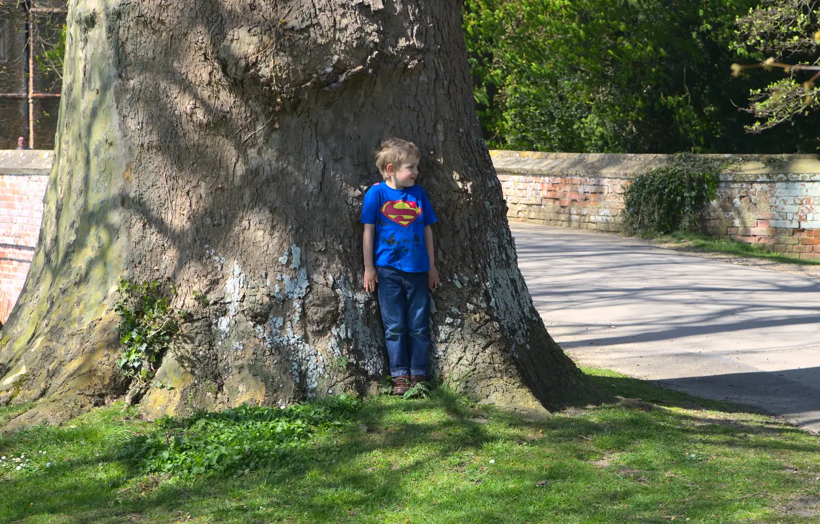 Fred hides in a tree, from A Trip to Audley End House, Saffron Walden, Essex - 16th April 2014