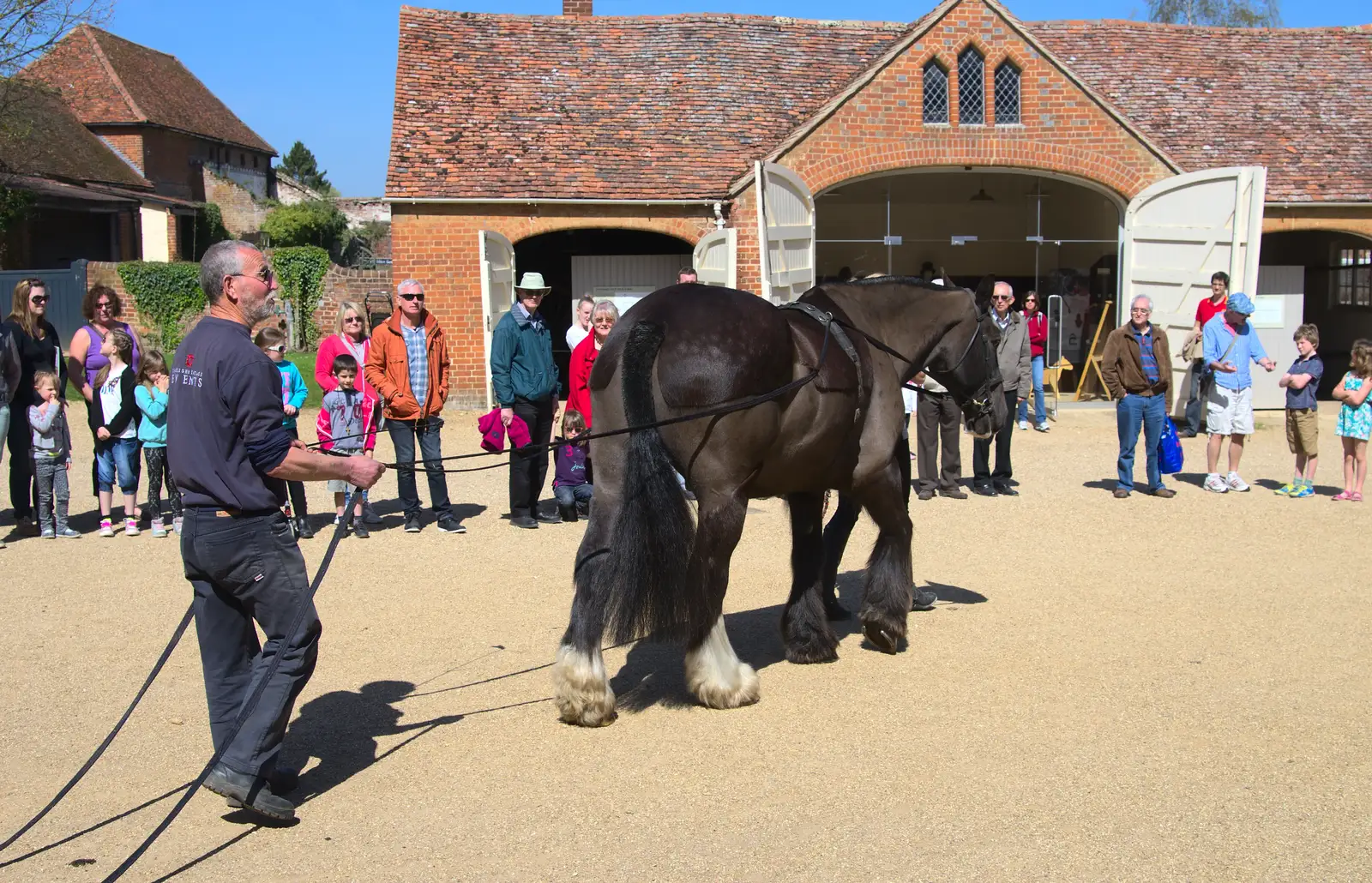 Bob goes for a walk, from A Trip to Audley End House, Saffron Walden, Essex - 16th April 2014