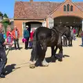 Bob goes for a walk, A Trip to Audley End House, Saffron Walden, Essex - 16th April 2014