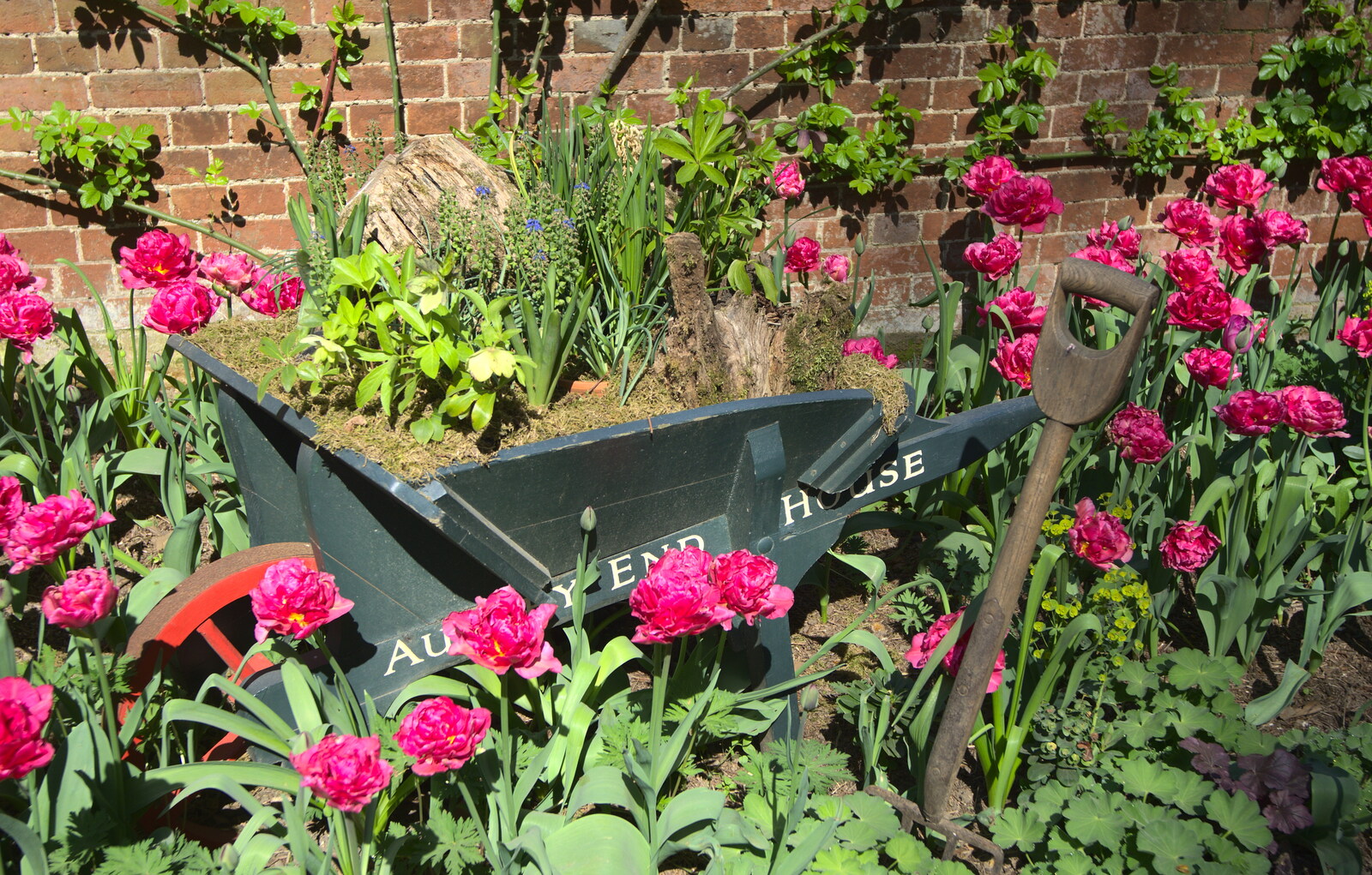 A wheelbarrow is overgrown with flowers from A Trip to Audley End House, Saffron Walden, Essex - 16th April 2014