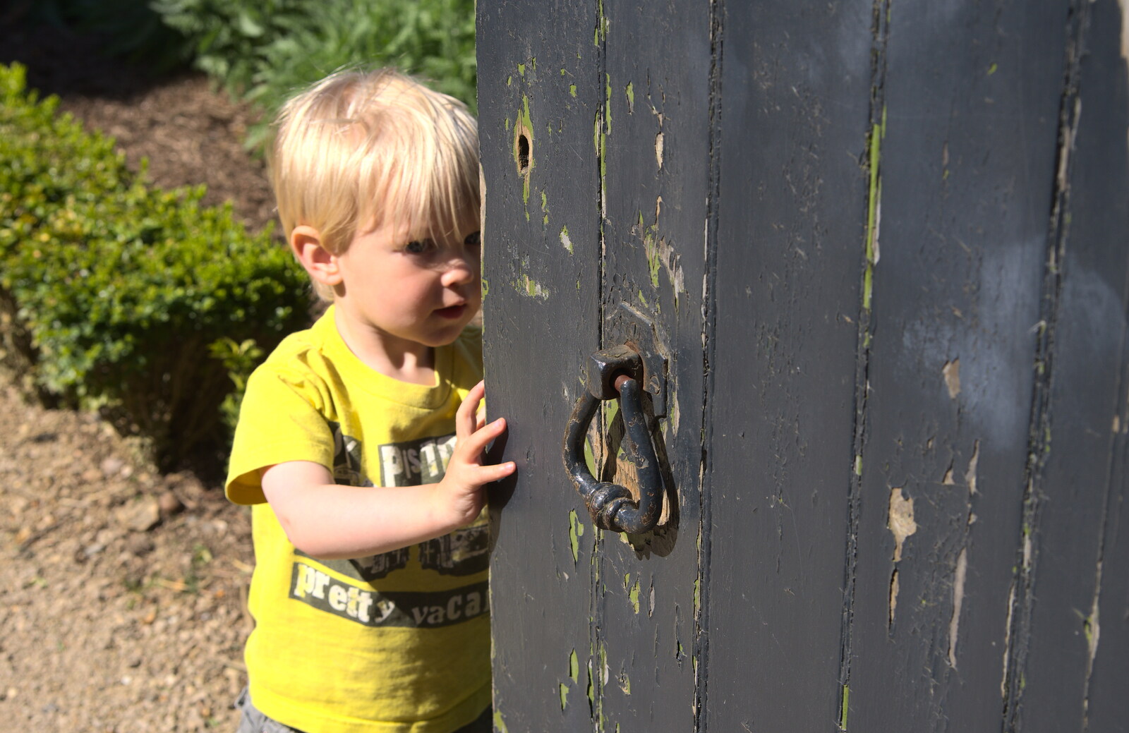 Harry hides behind a gate from A Trip to Audley End House, Saffron Walden, Essex - 16th April 2014