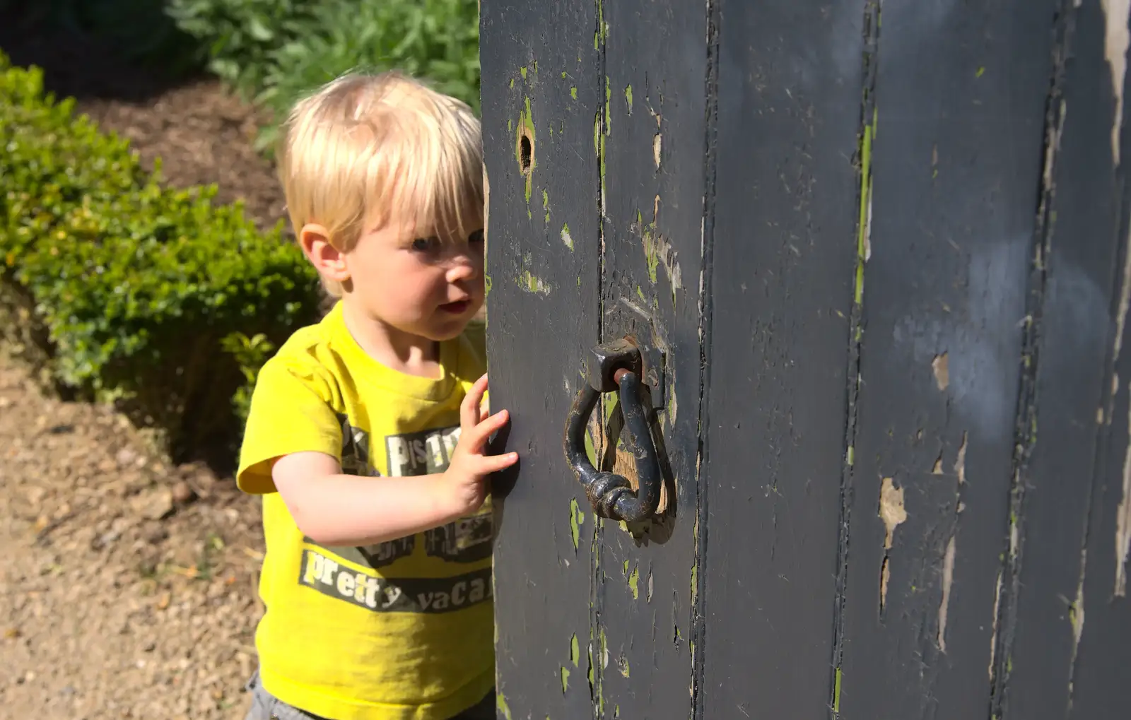 Harry hides behind a gate, from A Trip to Audley End House, Saffron Walden, Essex - 16th April 2014