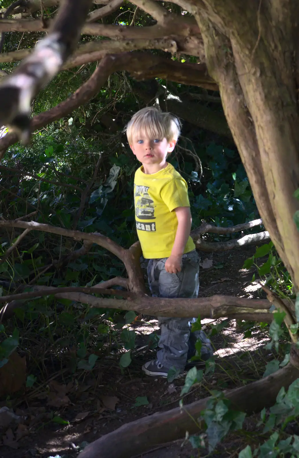 Harry roams through the 'secret passages', from A Trip to Audley End House, Saffron Walden, Essex - 16th April 2014