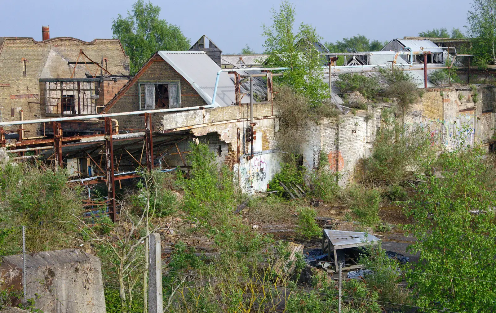 Nature slowly takes over the derelict site, from Brantham Dereliction, and a SwiftKey Photoshoot, Suffolk and Southwark - 29th April 2014