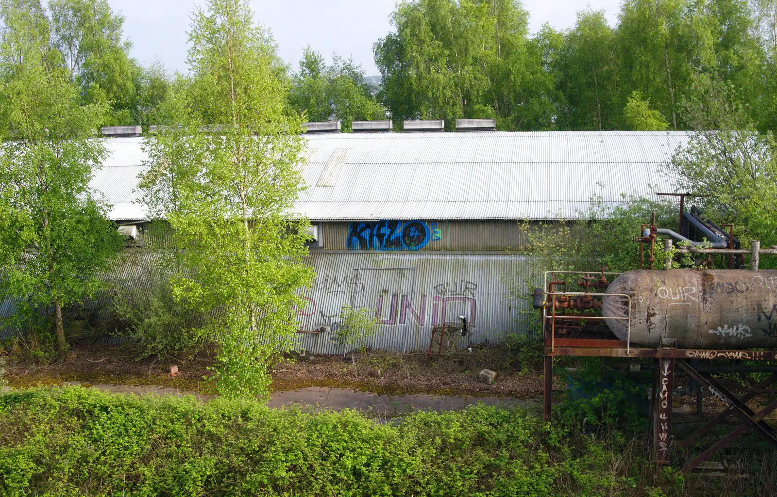 A derelict corrugate warhouse, with Quir tags, from Brantham Dereliction, and a SwiftKey Photoshoot, Suffolk and Southwark - 29th April 2014