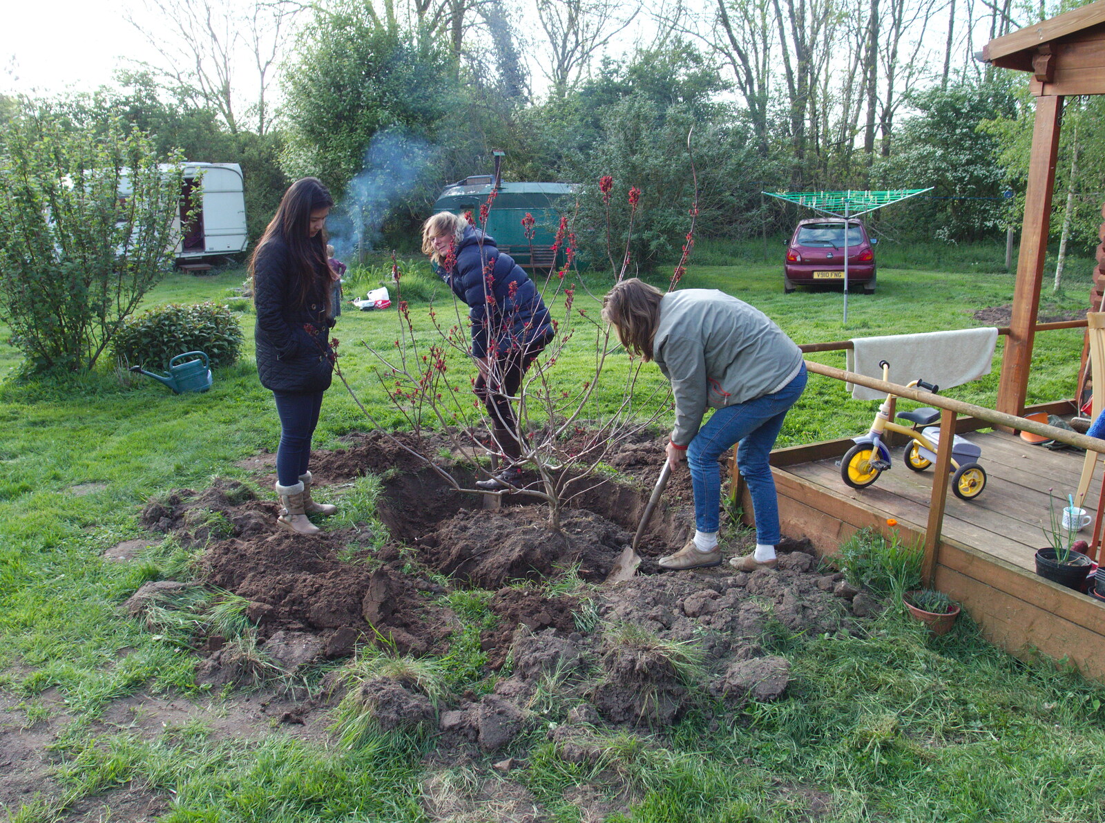 A tree is planted from BBs' Coldest Gig and a Wavy Barbeque, Botesdale and Stuston, Suffolk, 3rd May 2014