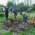 A tree is planted, BBs' Coldest Gig and a Wavy Barbeque, Botesdale and Stuston, Suffolk, 3rd May 2014