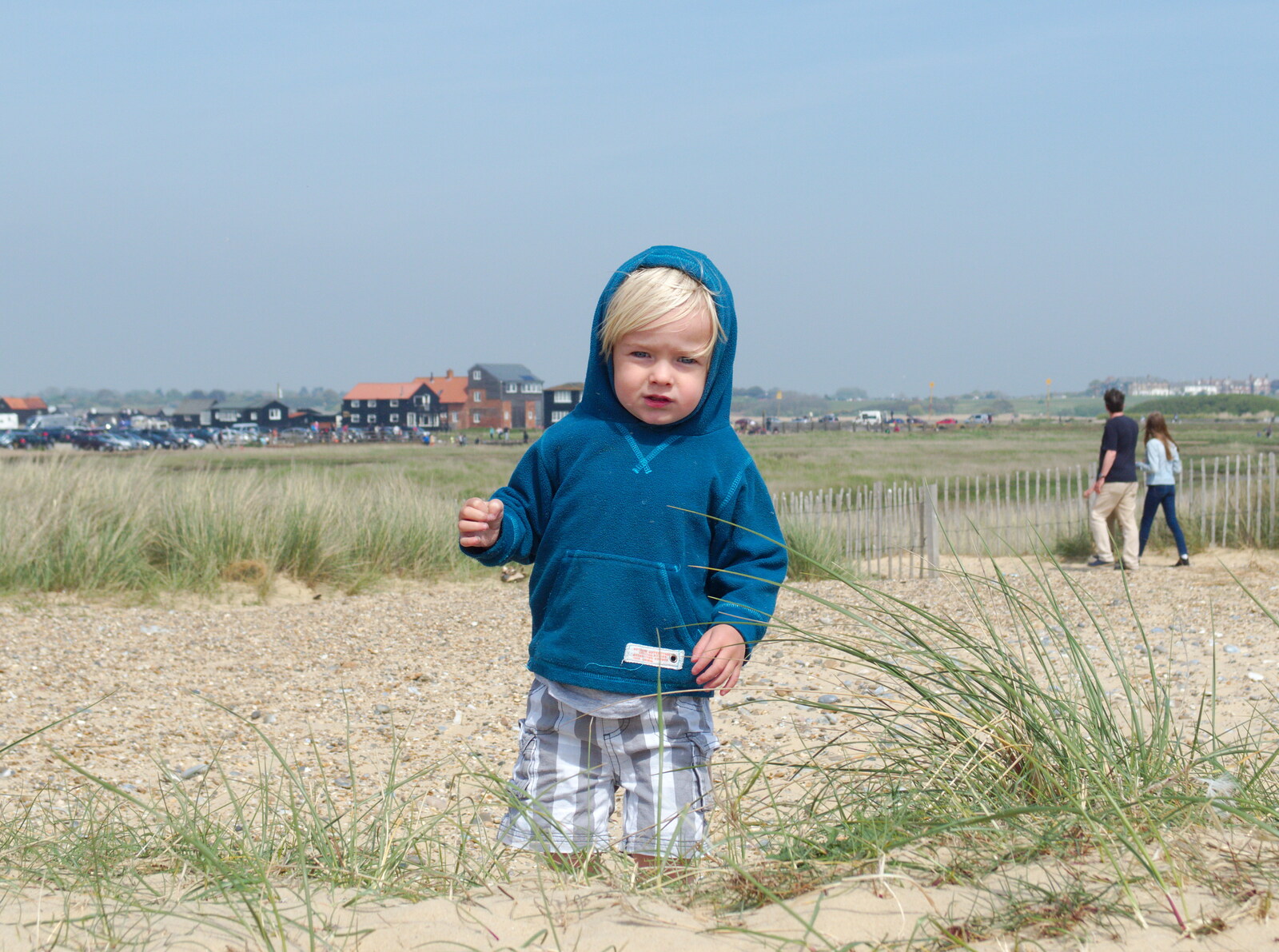 Harry roams around in the dunes from Life's A Windy Beach, Walberswick, Suffolk - 5th May 2014