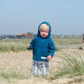 Harry roams around in the dunes, Life's A Windy Beach, Walberswick, Suffolk - 5th May 2014
