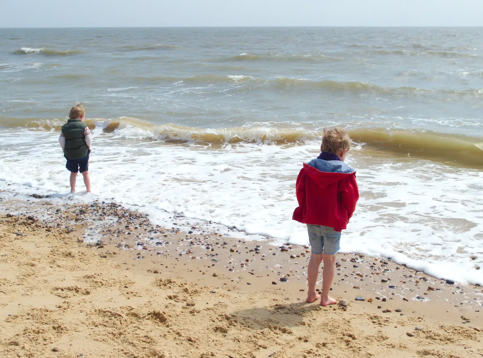 Oak and Fred go for a paddle, from Life's A Windy Beach, Walberswick, Suffolk - 5th May 2014