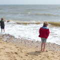 Oak and Fred go for a paddle, Life's A Windy Beach, Walberswick, Suffolk - 5th May 2014