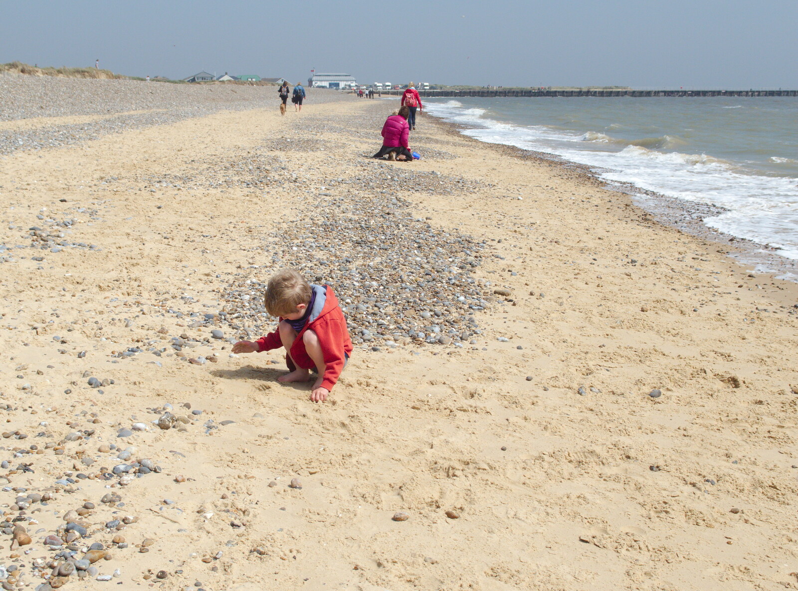 Fred digs around on the beach from Life's A Windy Beach, Walberswick, Suffolk - 5th May 2014