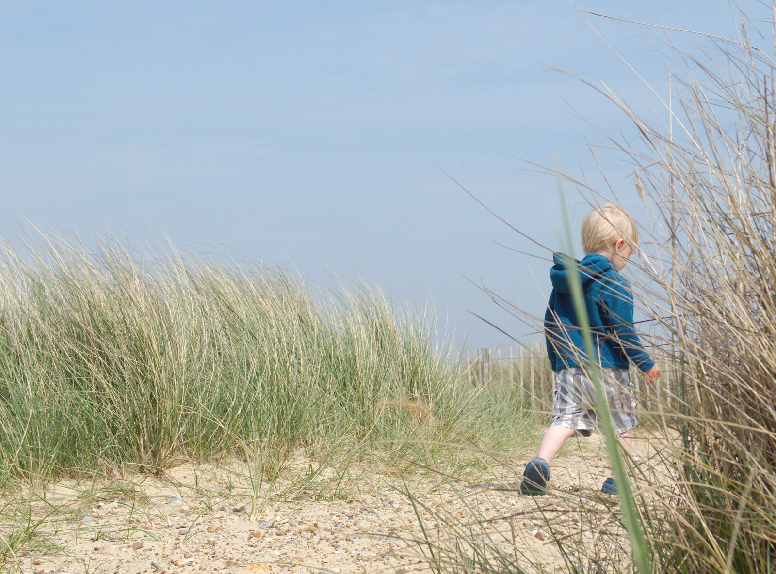 Harry sets off on an escape attempt from Life's A Windy Beach, Walberswick, Suffolk - 5th May 2014