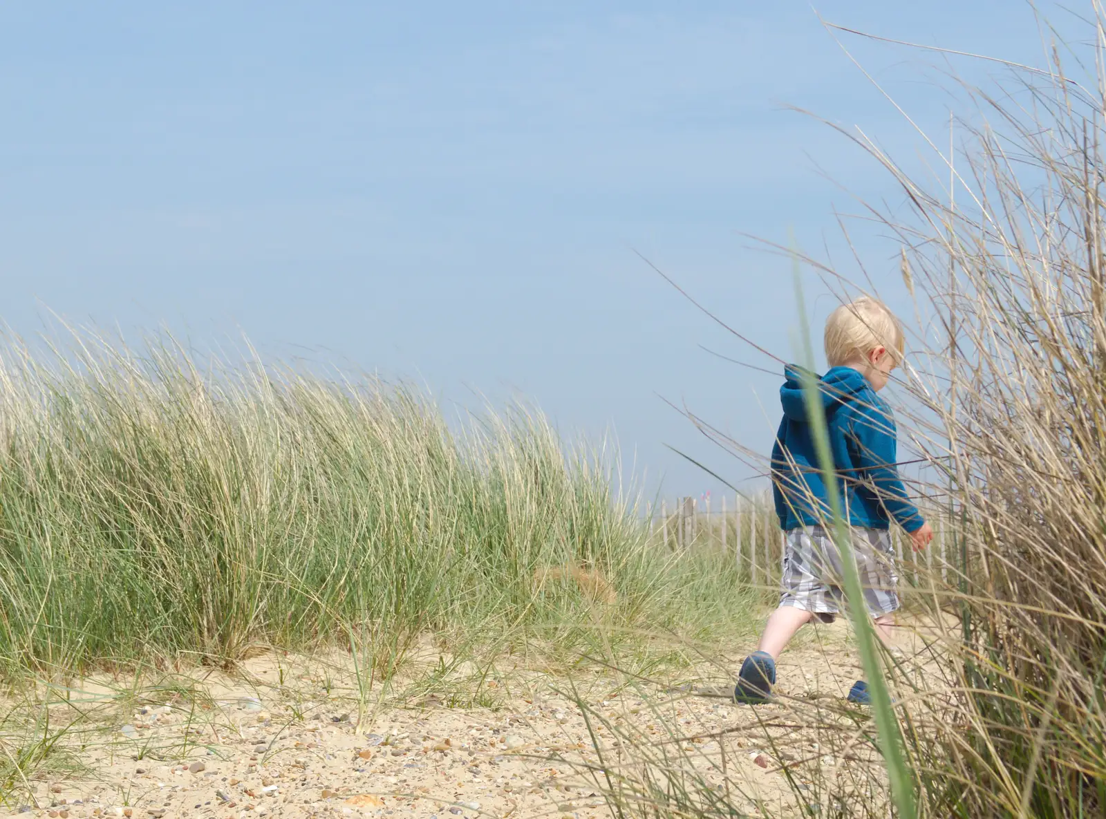 Harry sets off on an escape attempt, from Life's A Windy Beach, Walberswick, Suffolk - 5th May 2014